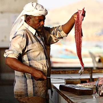 Yemen Fishing
