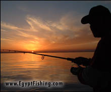 Fishing egypt: Egyptian anglers in the Gulf of Suez