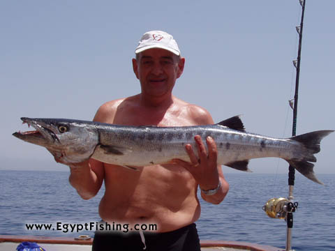 Red Sea, Mer Rouge Pêche Égypte: Fishing in Egypt, Hurghada, Egypt (boat trolling)
