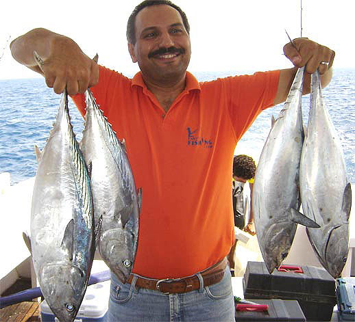 Khalid Gomaa with Red Sea Bonito, shallow boat trolling in the Gulf of Suez
